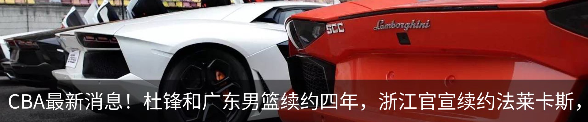 最新动态